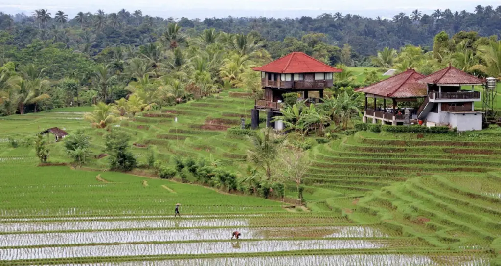 Bali, la plus belle ile de l'océan indien pour vos vacances en septembre