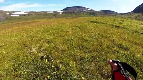 explorations des Fjords, des vallées, en Islande