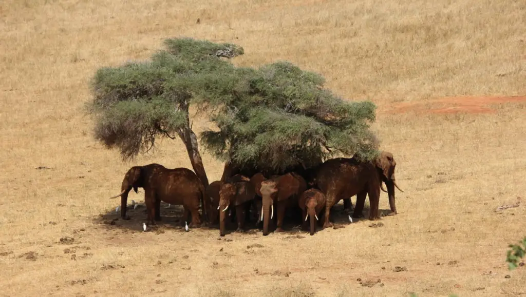 Kenya, la destination la plus dépaysante du mois de septembre