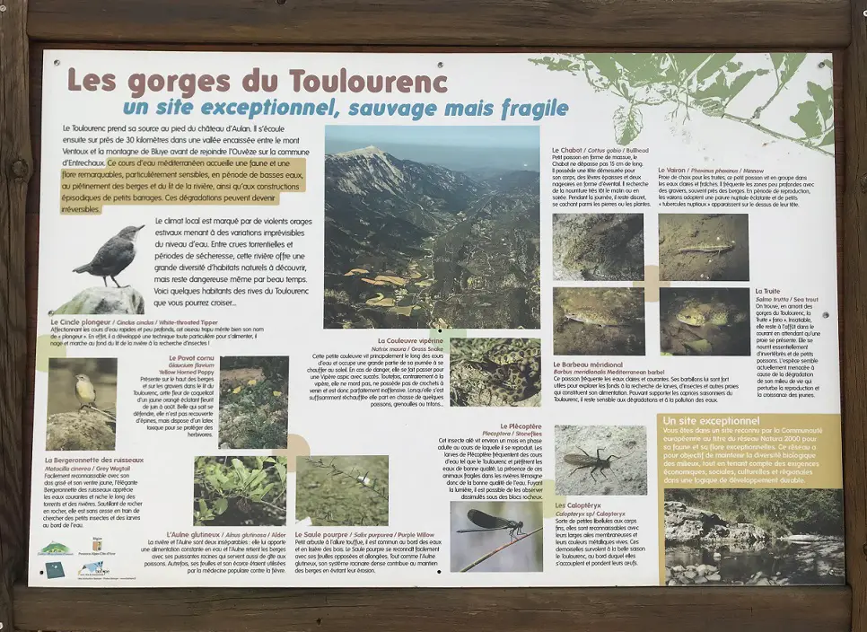 Les gorges de Toulourenc autour du Mont Ventoux