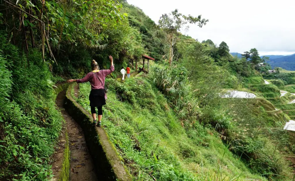 Marche le long des canaux des rizières aux Philippines