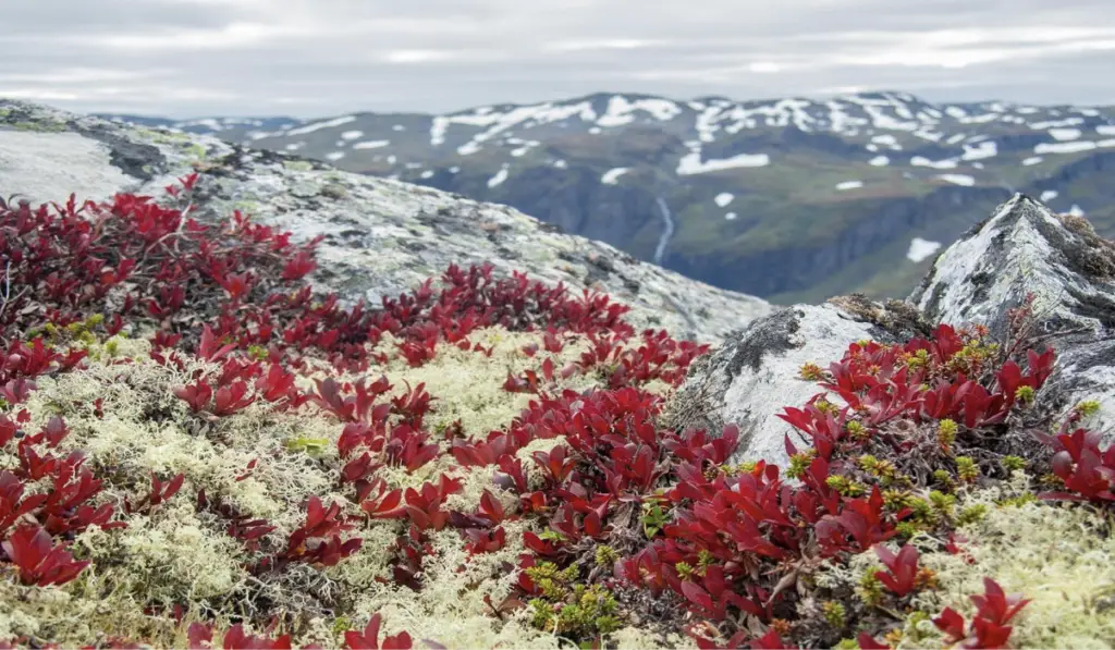 Norvège parmi les plus belles destination de septembre