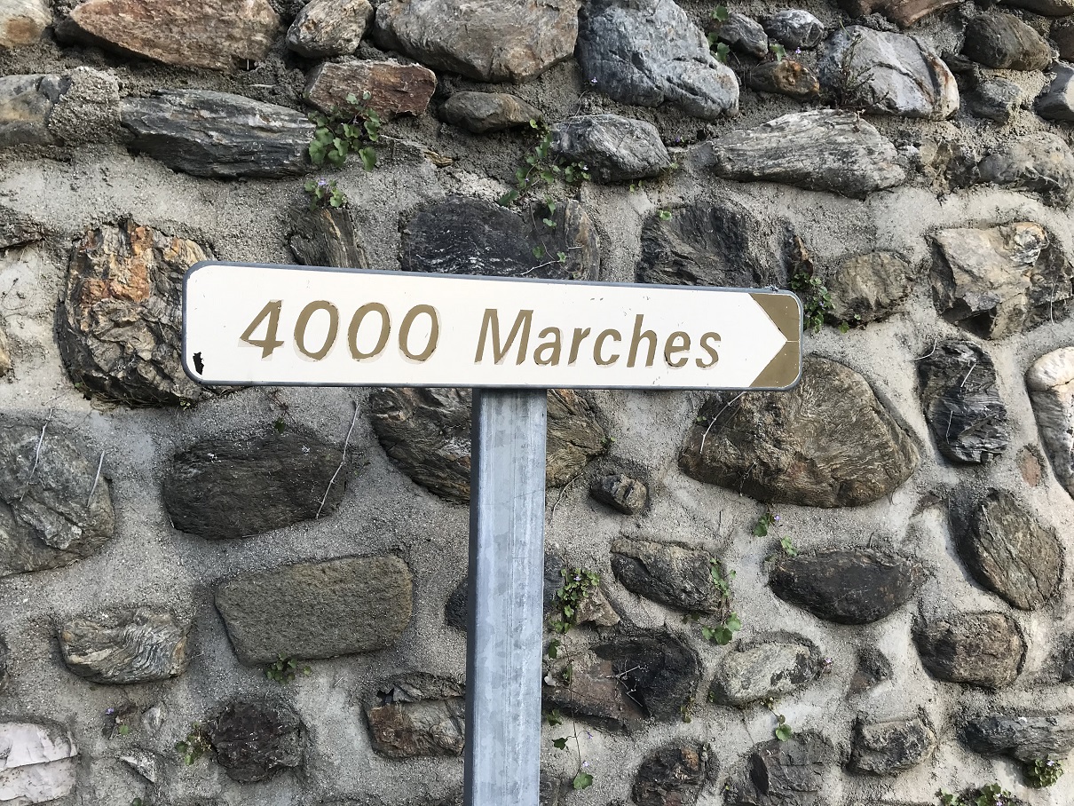 Pin's émaillé Mont Aigoual Gard – Randonnée Cévennes – Signé Michel Coulon
