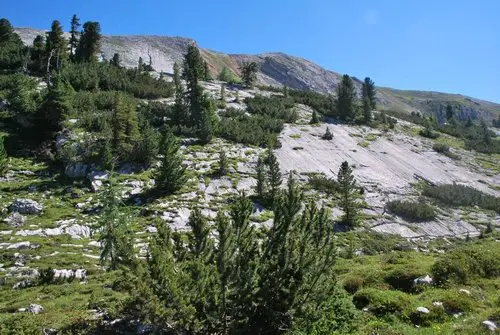 paysage de montagne durant la via alpina