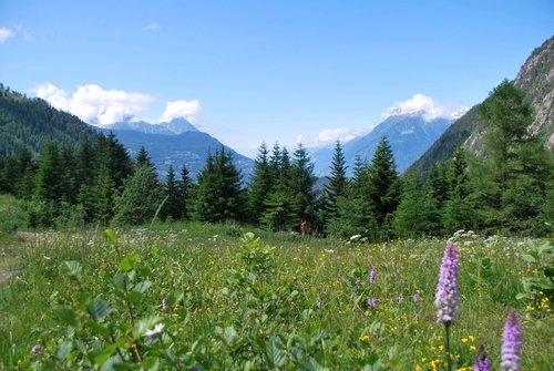 Paysage de montagne sur la via alpina