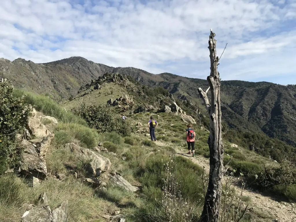 Paysage sous un ciel bleu dans le parc des Cévennes en direction de la station météo de l'Aigoual