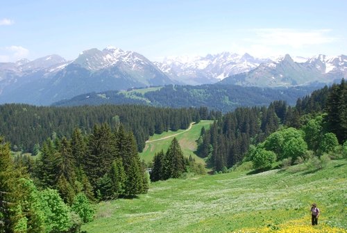 paysage de la via alpina