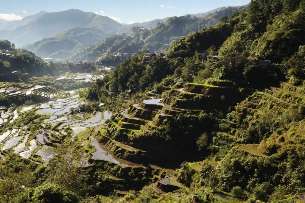 Rizières au-dessus de la ville de Banaue aux Philippines