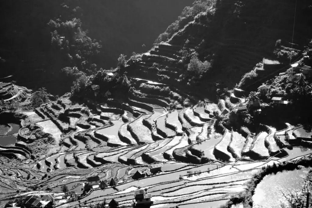 Rizières du village de Batad aux Philippines