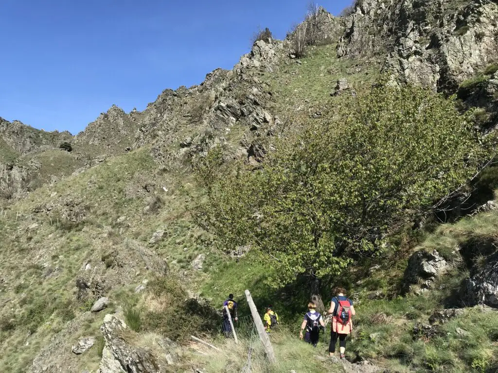 sentier de randonnée balisé pour rejoindre le Mont Aigoual