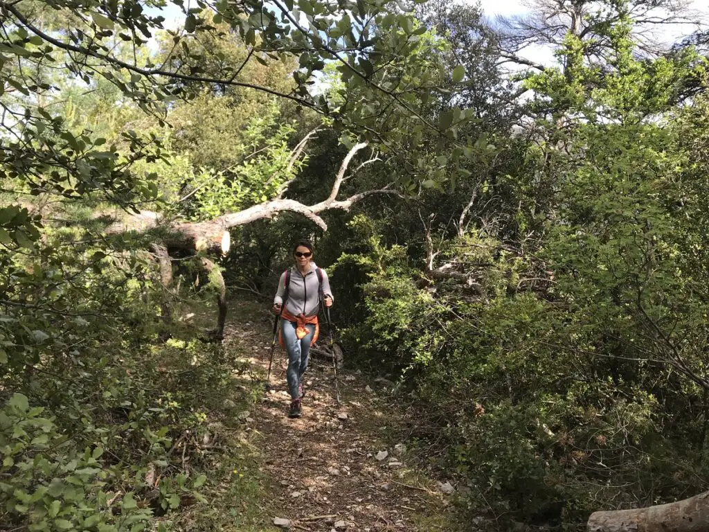 sentier de randonnée depuis Saint léger du Ventoux pour atteindre le sommet du Ventoux