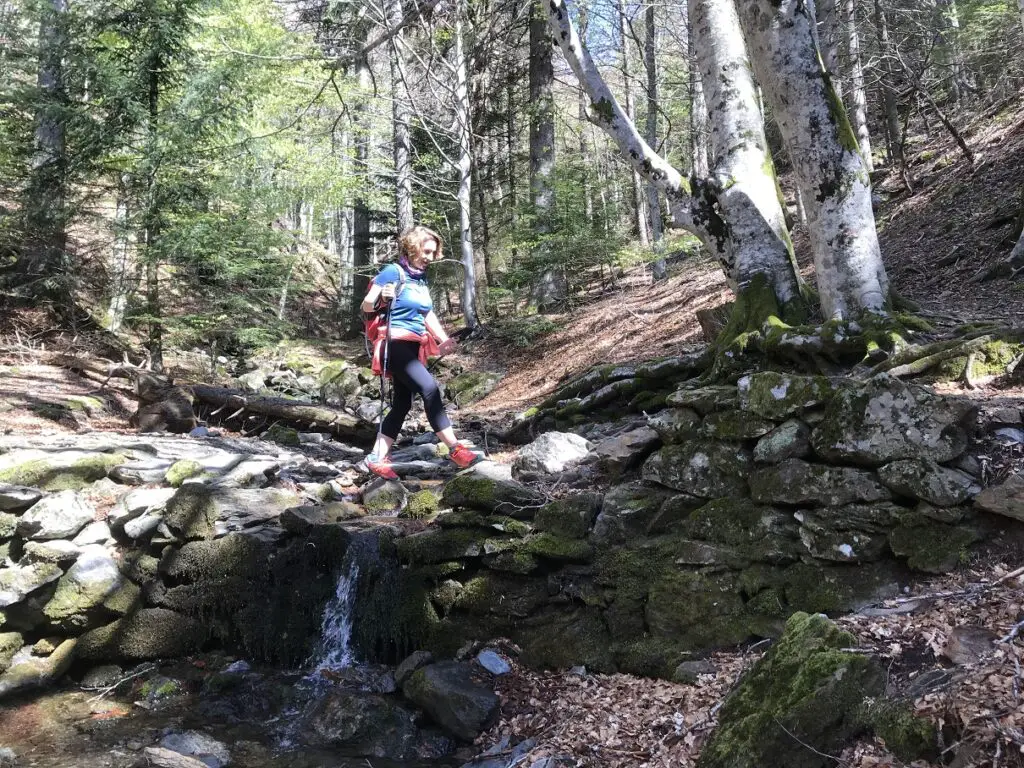 traversée de ruisseau rencontré sur le sentier de rando montant à l'aigoual