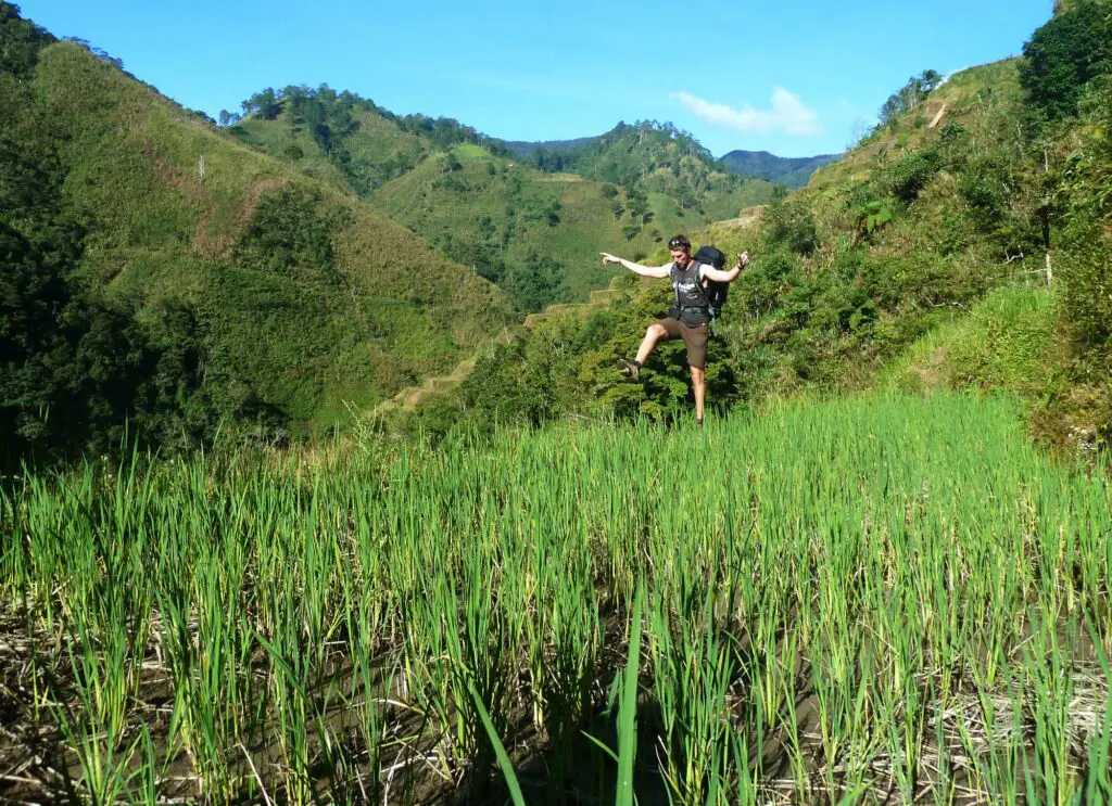 Visite d'une rizière aux Philippines