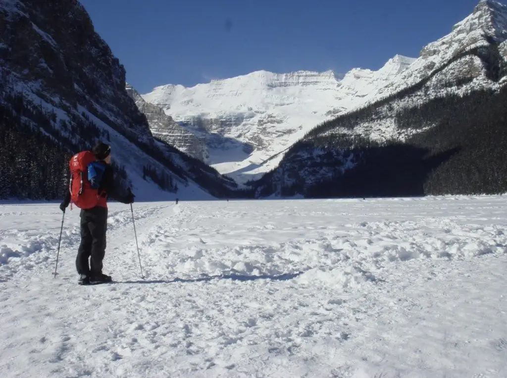 Approche à skis pour grimper la glace de la French reality