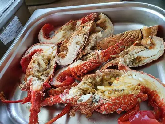 Langouste de Nouvelle-Calédonie