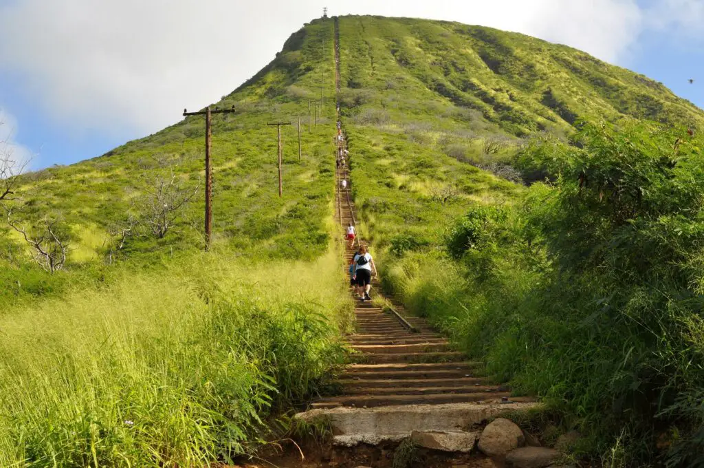 le Koko Crater Trail, une activité outdoor à ne pas louper à Hawaï