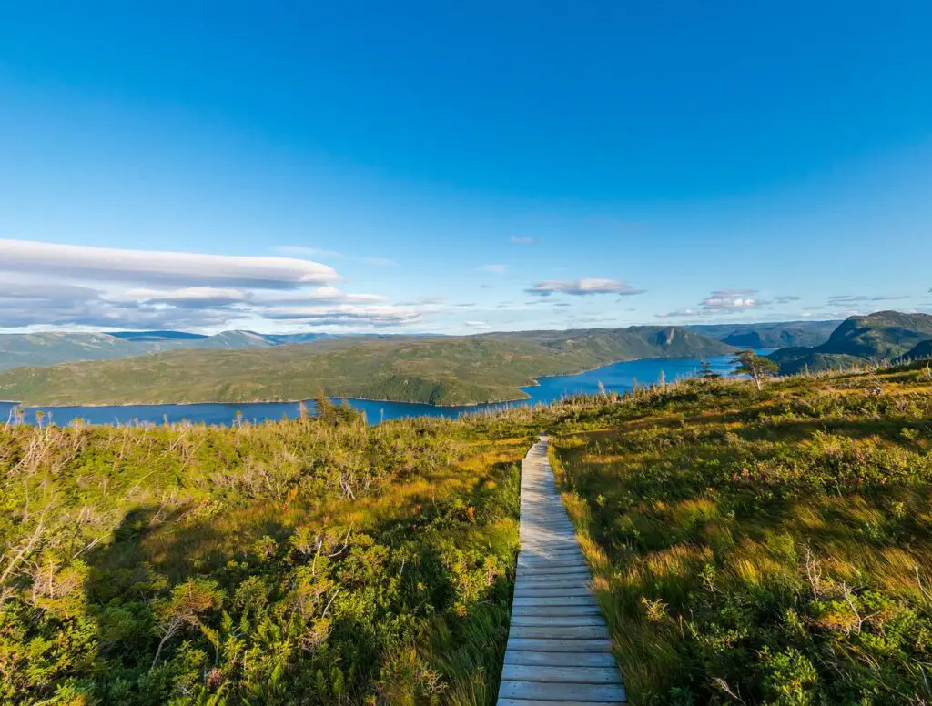 parc national du gros morne au canada