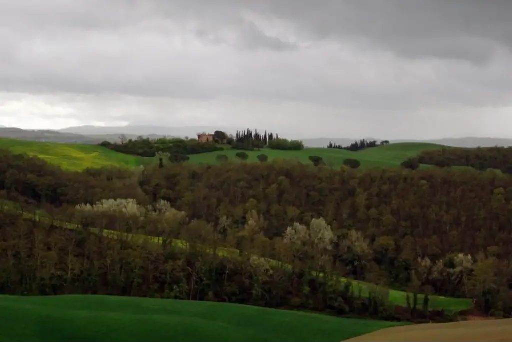 paysage du val d'Arbia