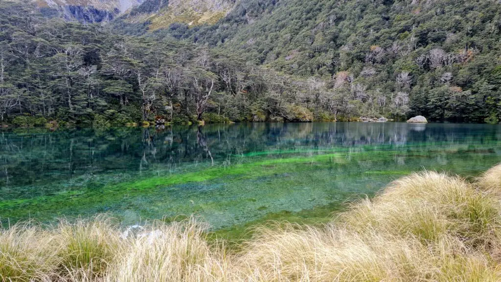 Randonnée de Blue Lake, le lac le plus clair du monde