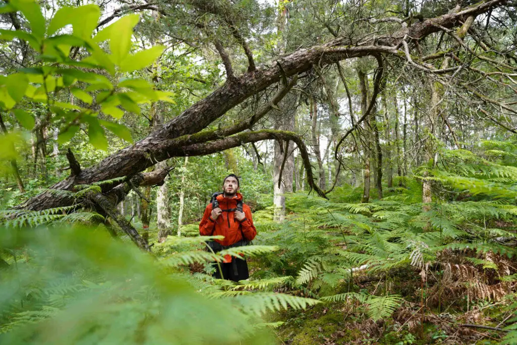 Randonnée sur la Trans'Bleausarde L'aventure à 2h de Paris avec la Nuit en tente sur la West Highland Way avec la Dans les forêts écossaises avec la Face aux midges sur la West Highland Way avec la veste Helly Hansen Odin