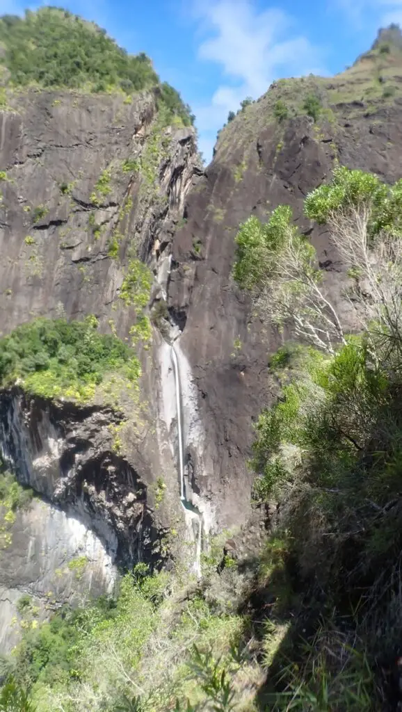 Canyon de Fleur jaune à la réunion