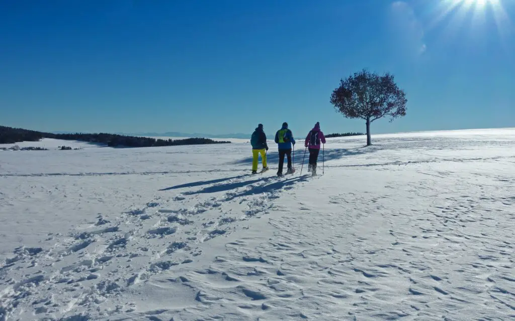 raquettes à neige en montagne