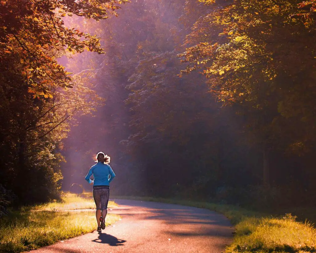 Course à pied en forêt