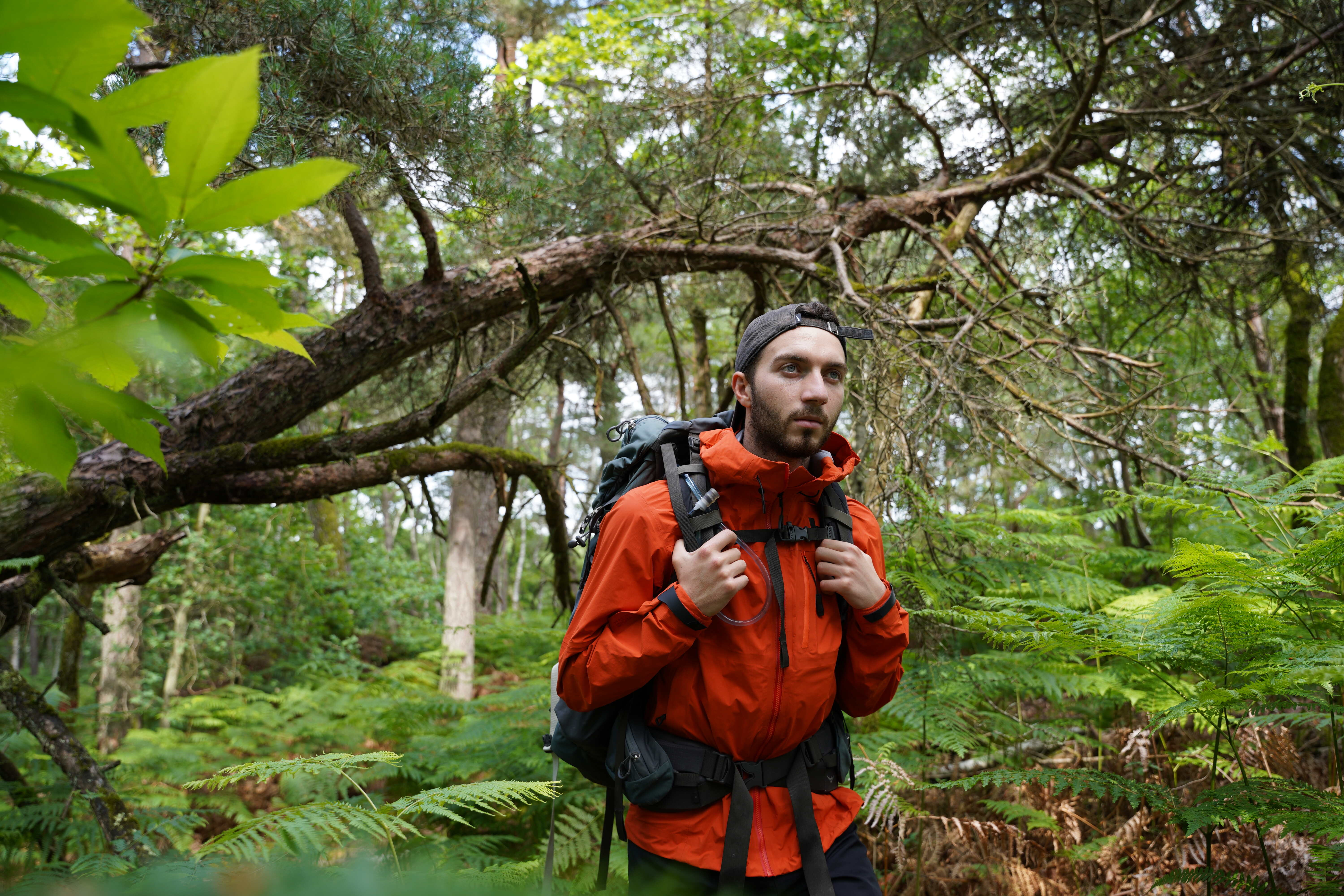 L'aventure à 2h de Paris avec la Nuit en tente sur la West Highland Way avec la Dans les forêts écossaises avec la Face aux midges sur la West Highland Way avec la veste Helly Hansen Odin