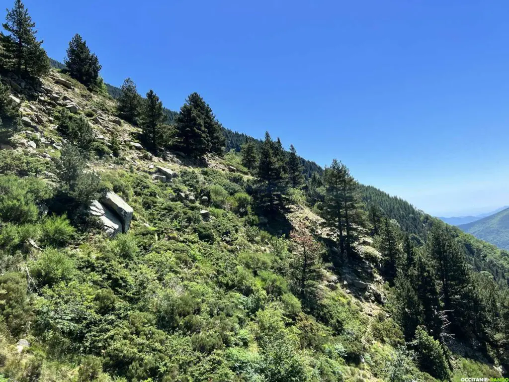 Tour du massif du Canigou et du Haut-Vallespir