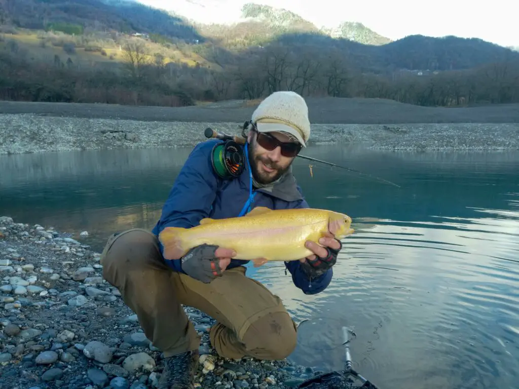 Pêche à la mouche d'une truite gold