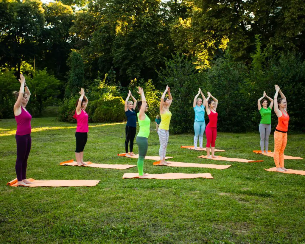 Cours de yoga collectif en pleine nature