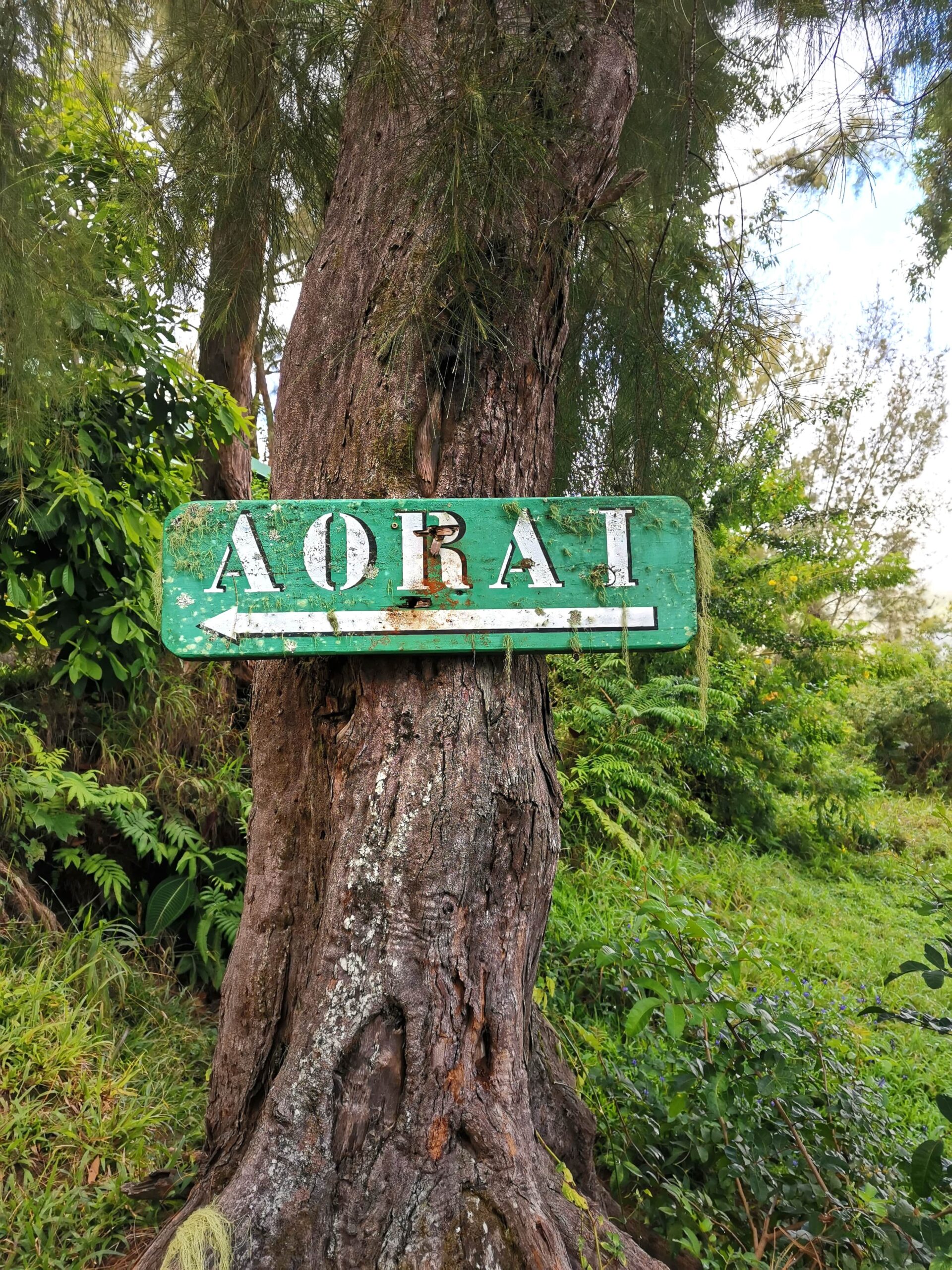 Départ randonnée Aorai_ 3ème sommet de Tahiti