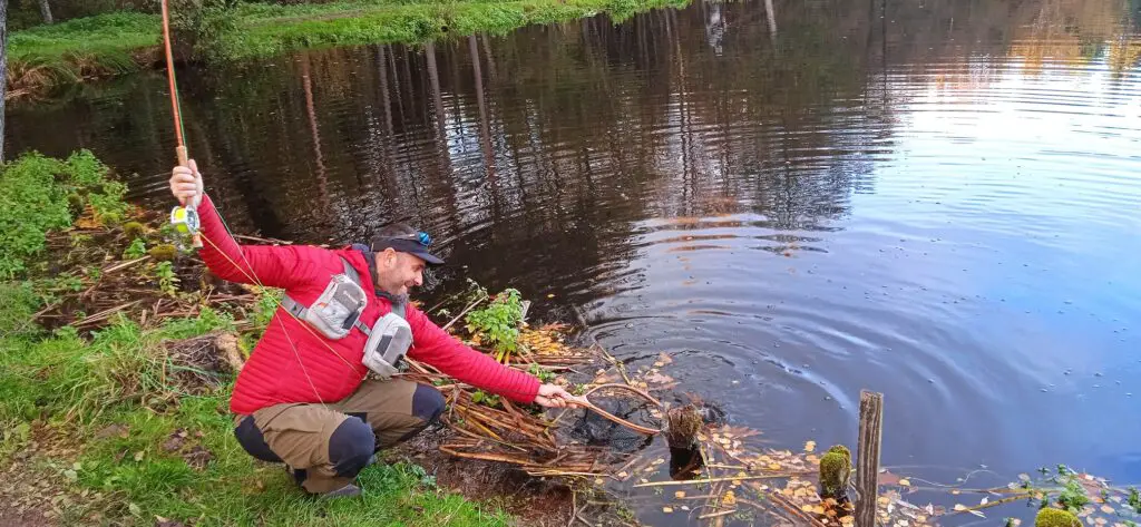 Mise a l'épuisette d'une truite en réservoir de pêche à la mouche