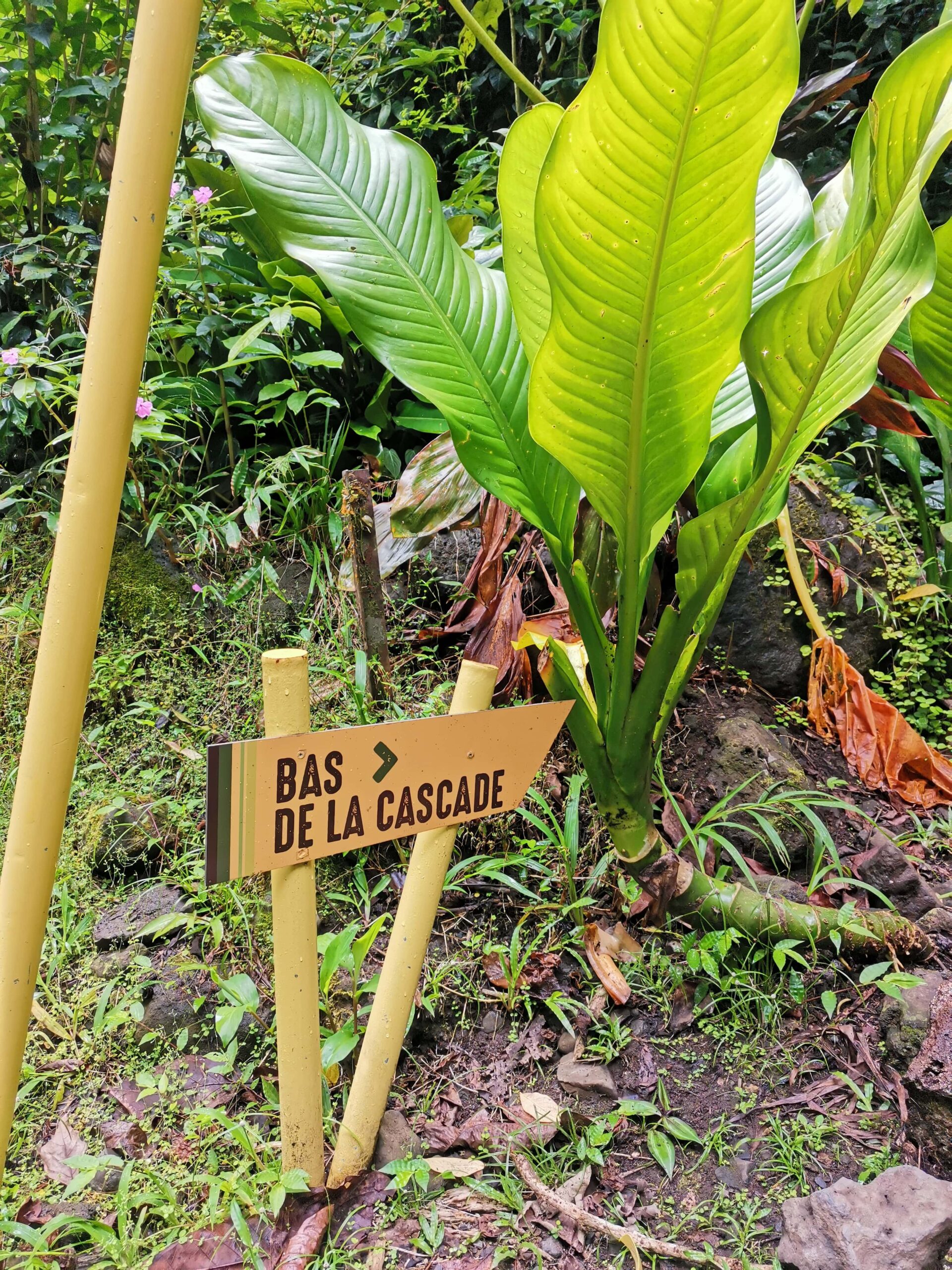 Panneau bas de la cascade de Loti_Randonnée Tahiti