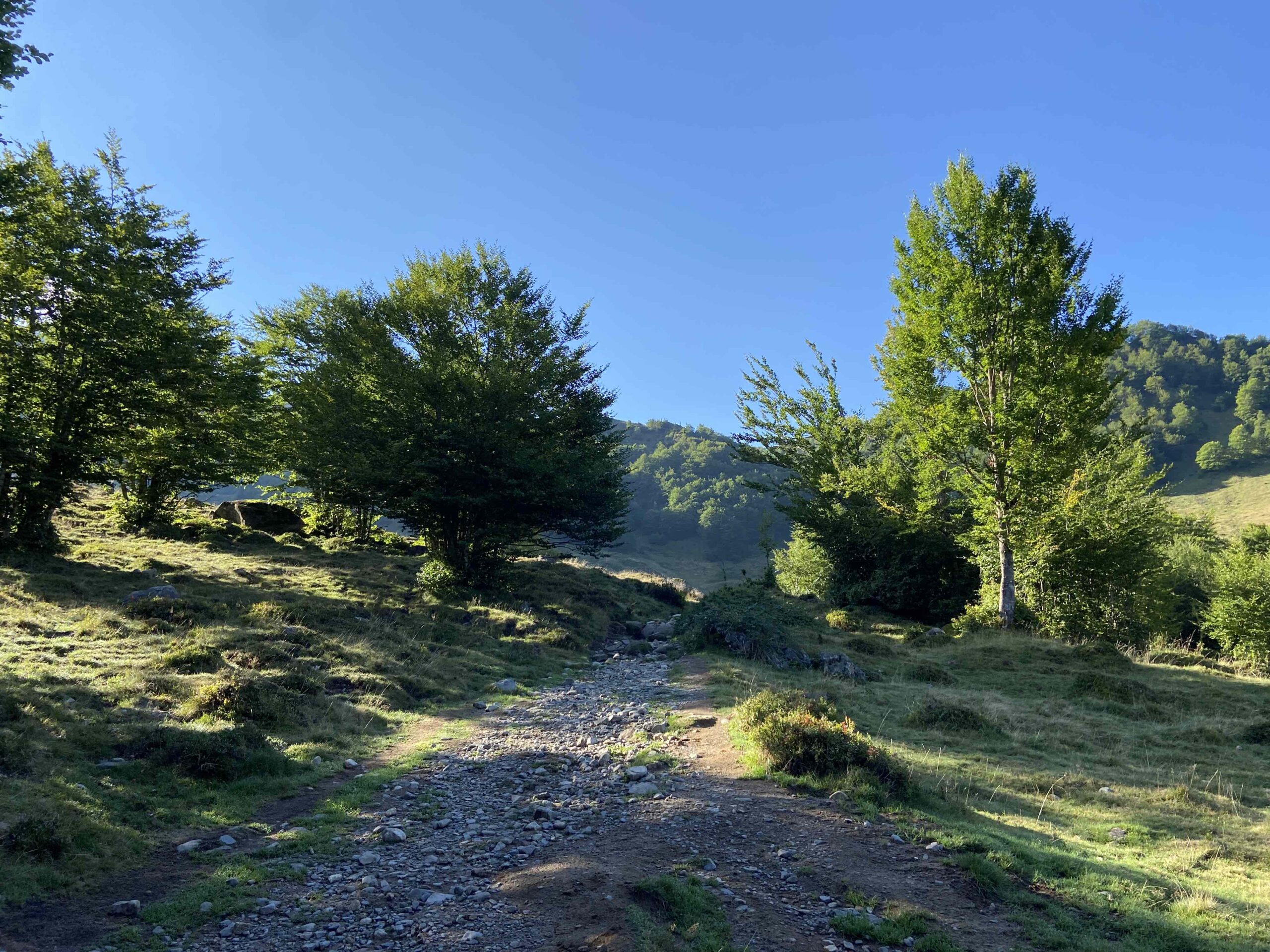 Paysage verdoyant sur la montée au port de Saleix lors de notre randonnée en famille dans les Pyrénées