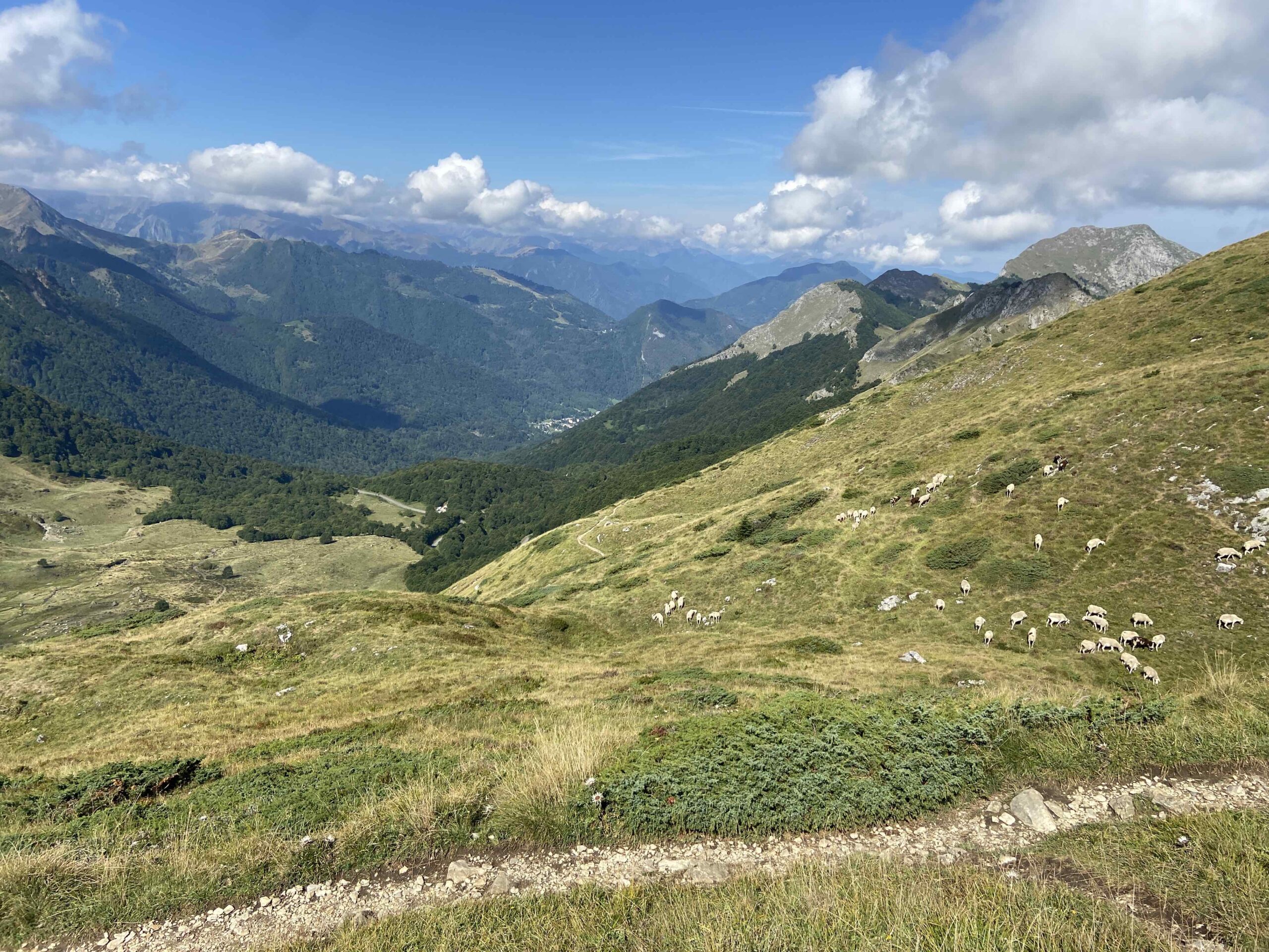 Sentier de randonnée au refuge de Bassies