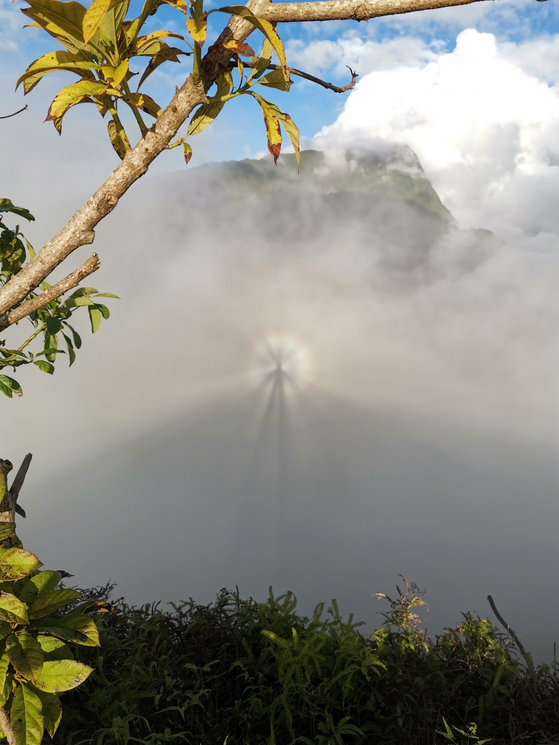 Spectre de Brocken_Pic Vert_Trekking Tahiti