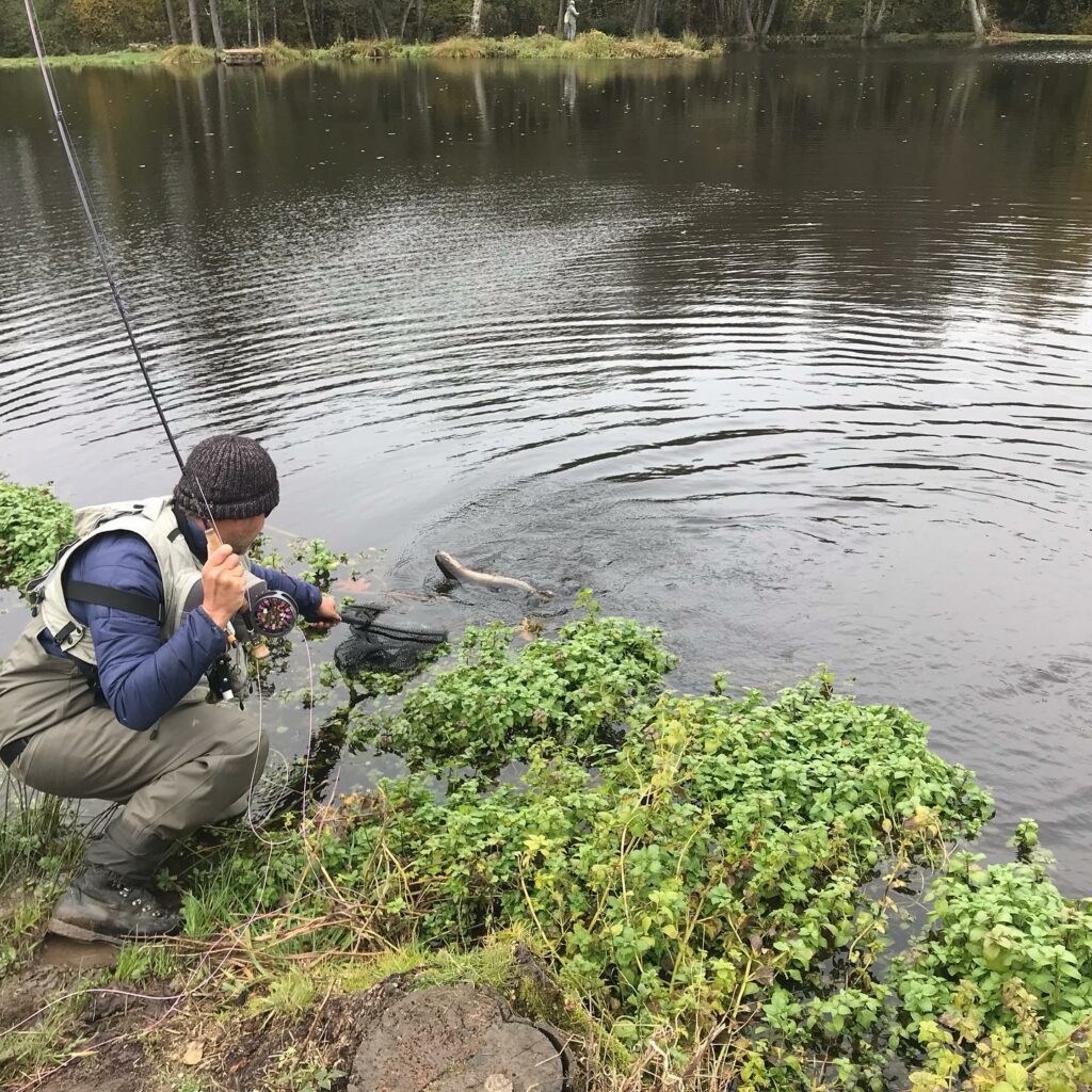 Steeve COLIN guide pêche à  Emotion Pêche à l'éphémère de Bourgogne