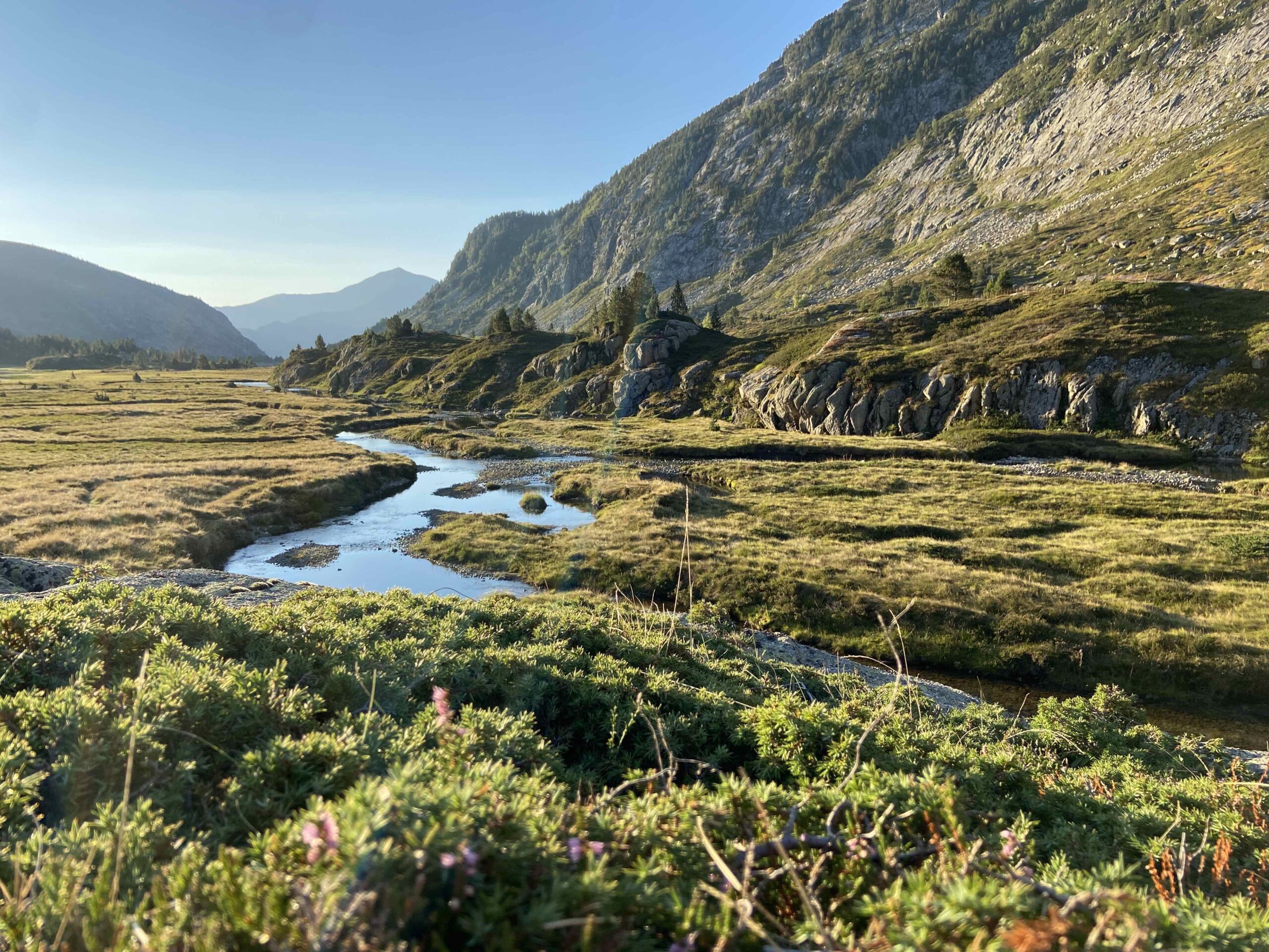 Vue vers l'étang de Bassies