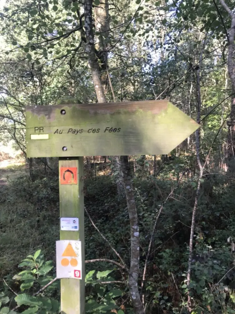 Au pays des fées une randonnée dans la forêt de Brocéliande en Bretagne