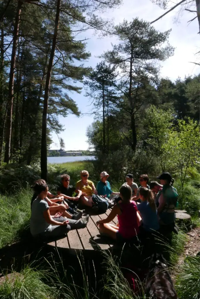 Balade en forêt de Brocéliande autour de Paimpont