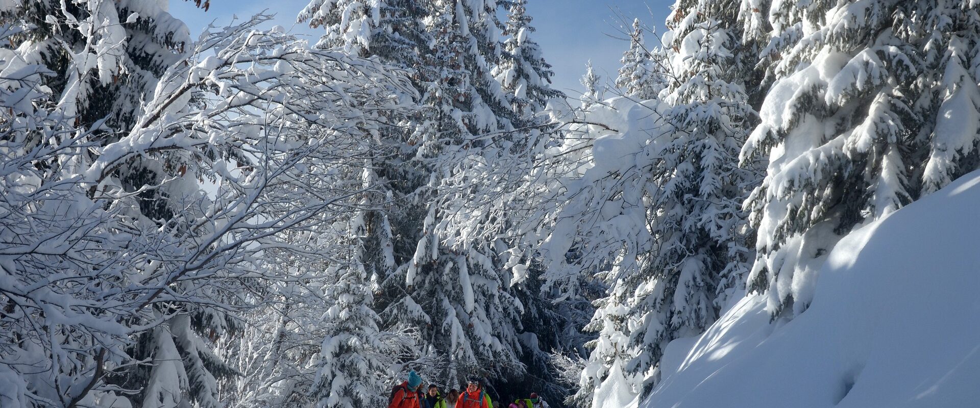 Où faire de la raquette à neige dans les Pyrénées