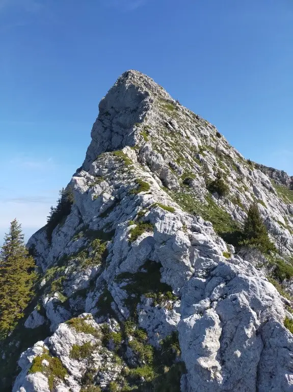 Rando en Chartreuse au grand Som par l’arrête Sud