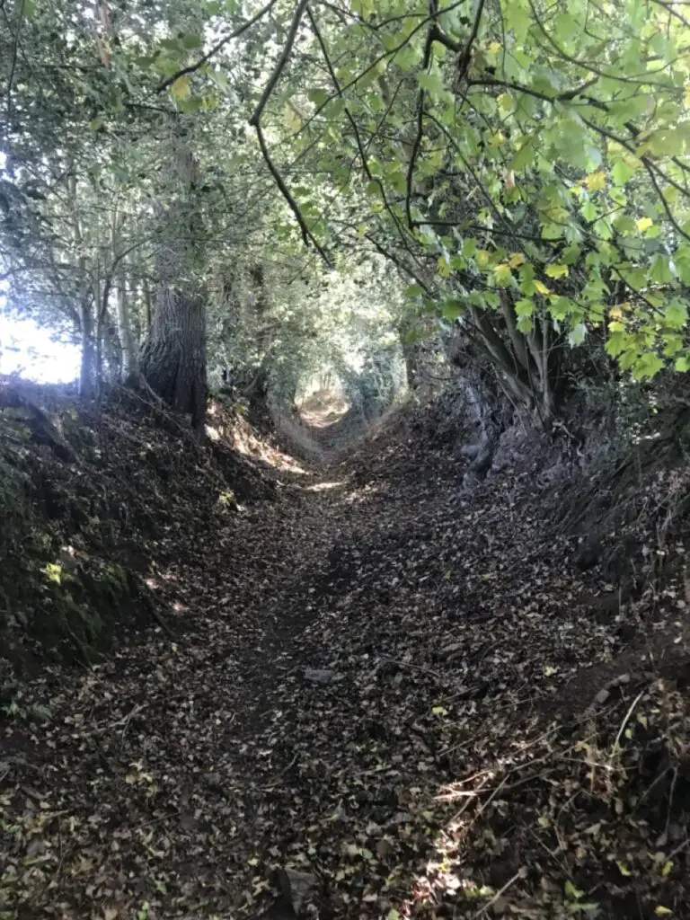 Randonnée Au pays des fées dans la forêt de Brocéliande dans le Morbihan