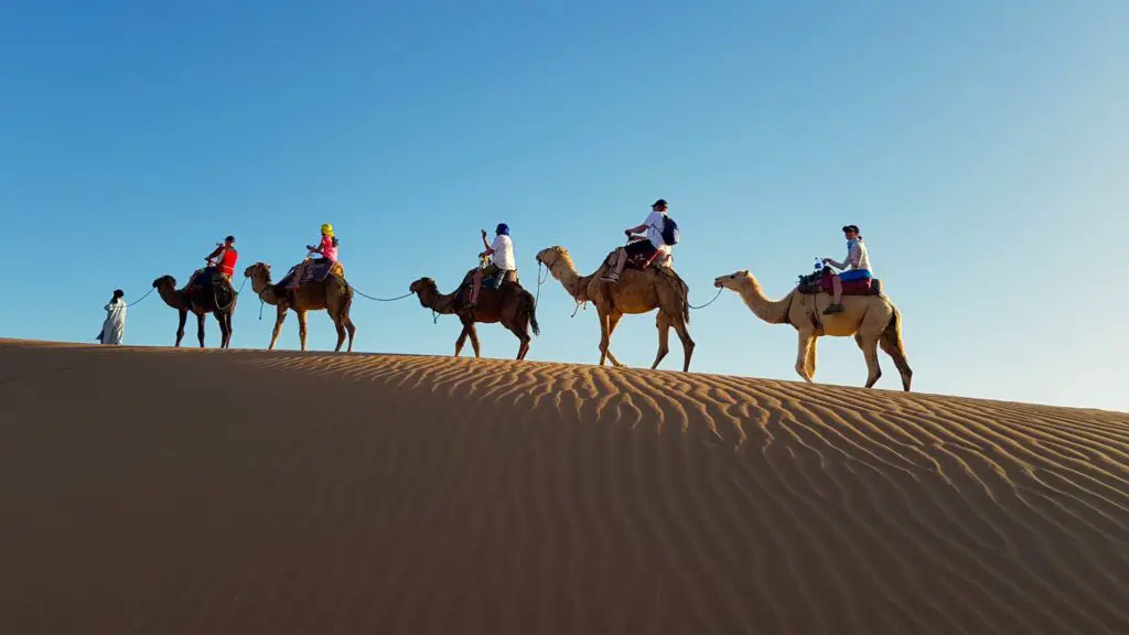 Randonnée dans le désert en famille avec l'agence de voyages Suprateam Travel