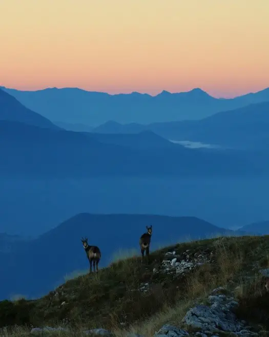 traversée des hauts de Chartreuse en 2 à 3 jours à pied