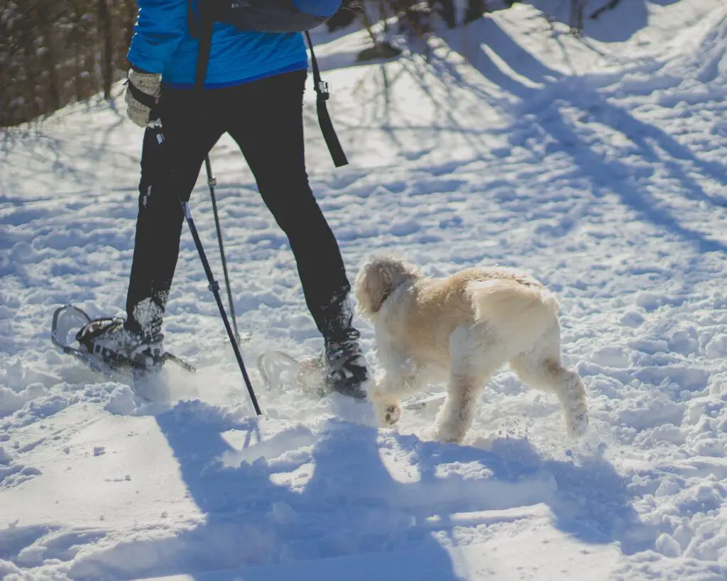 marche en raquettes à neige autour des menuires sur le Sentier de Villarenger