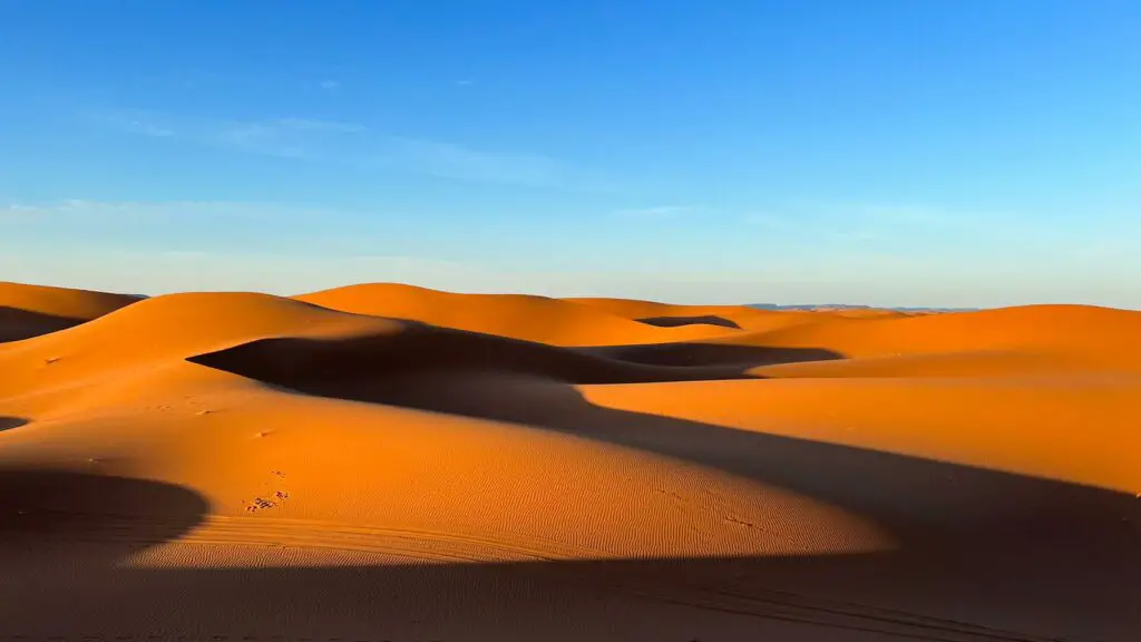 Caravane Renard du Désert pour vos voyages au Maroc 