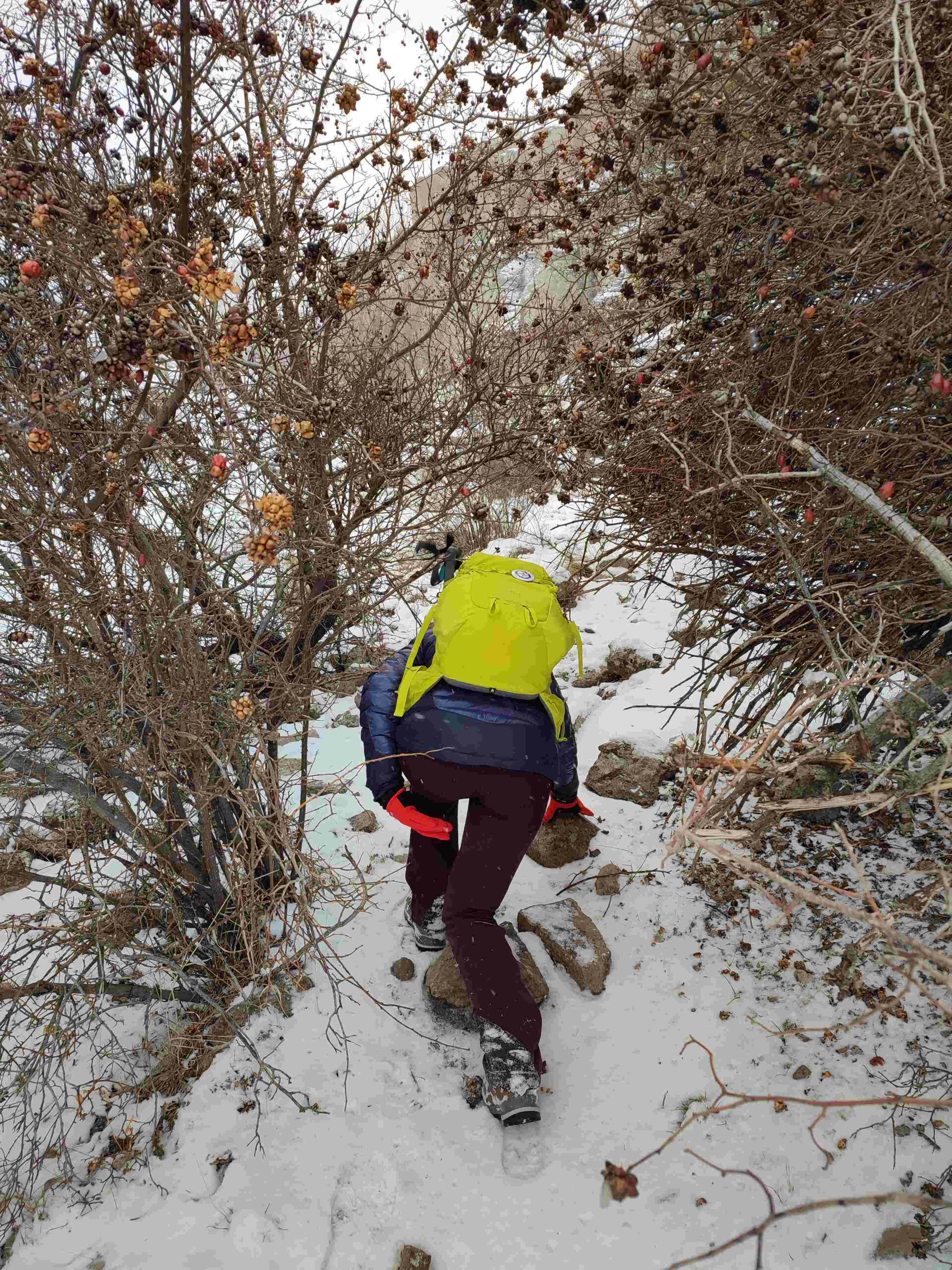 Retour terrain sac à dos 30 L Trangoworld