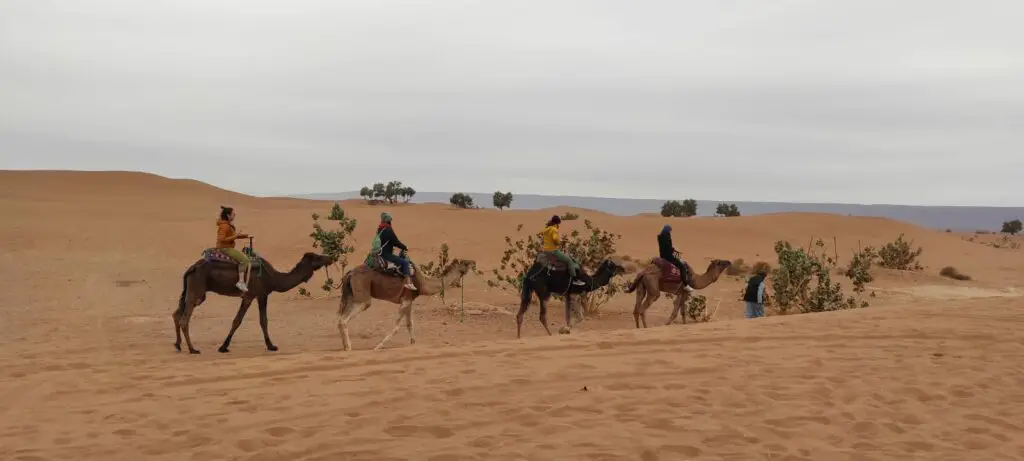 Voyage en famille dans le désert au Maroc